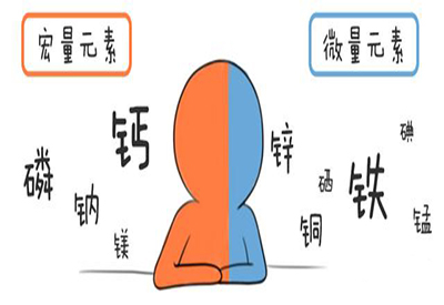 全自动微量元素分析仪介绍缺少微量元素的危害 全自动微量元素分析仪介绍缺少微量元素的危害