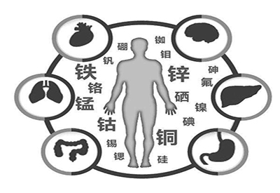 全自动微量元素检测仪厂家微量元素在人体中起到哪些作用 全自动微量元素检测仪厂家微量元素在人体中起到哪些作用